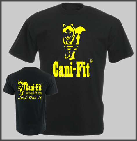 Cani Fit Split Line T Normal Print 